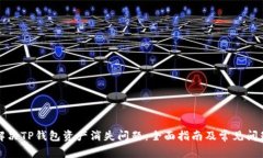 如何解决TP钱包资产消失问题：全面指南及常见问