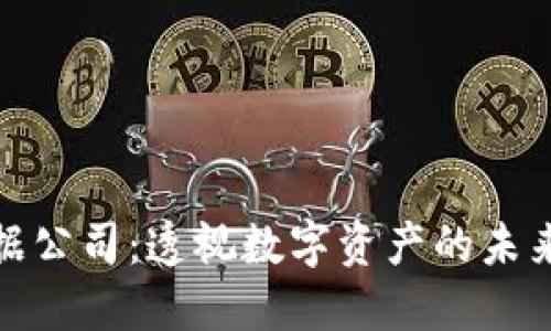 加密货币数据公司：透视数字资产的未来与市场动态