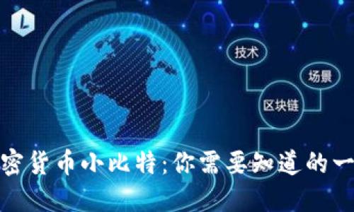 加密货币小比特：你需要知道的一切