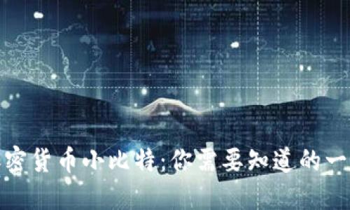 加密货币小比特：你需要知道的一切