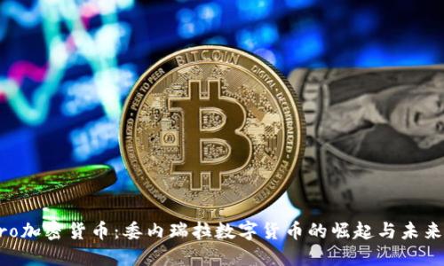Petro加密货币：委内瑞拉数字货币的崛起与未来展望